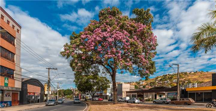 Prefeitura projeta Plano de Mobilidade para Ipatinga