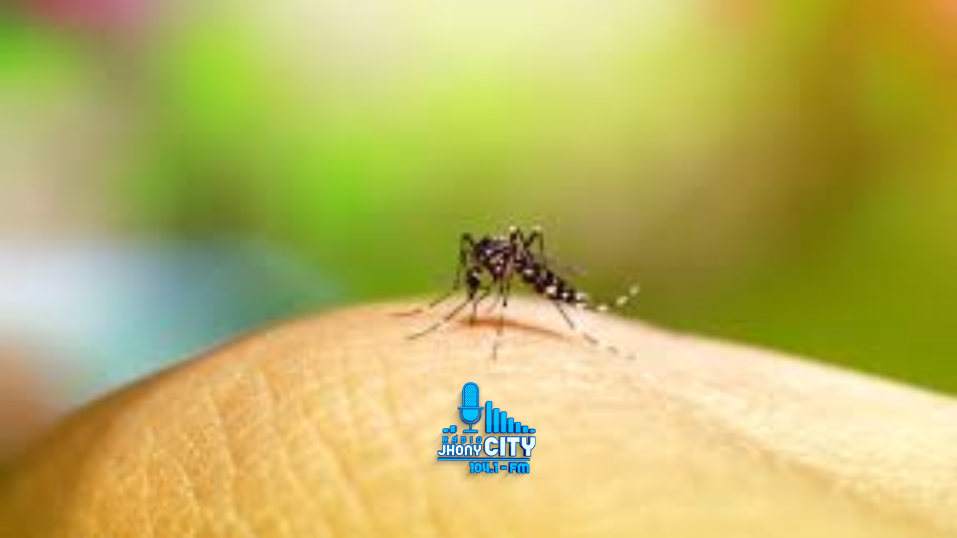 Dia D contra arboviroses mobiliza cerca de 30 municípios da Regional de Saúde de Coronel Fabriciano